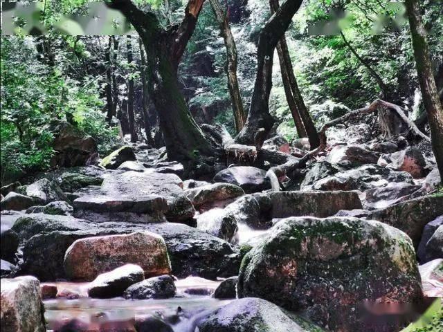 动物帮帮忙保卫家园