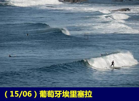 探索怎么挑选花蛤 如何挑选花蛤,解锁知识新视界
