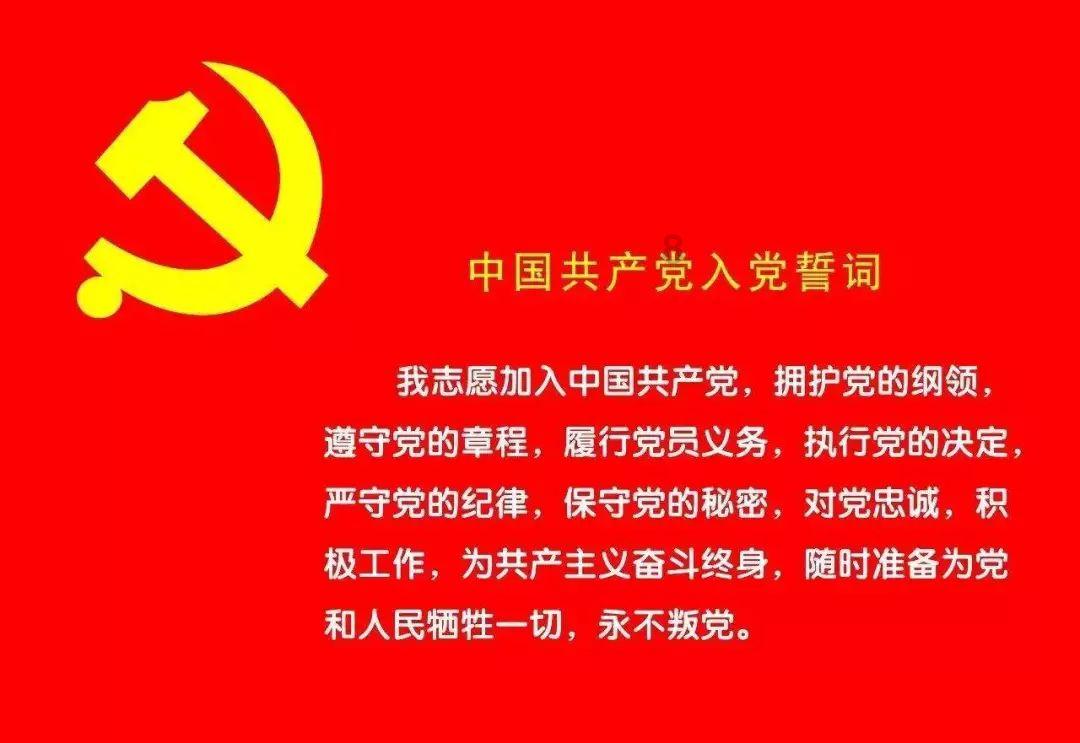 探索什么蔬菜里有嘌呤,发现你所需要的一切 | 红迪网