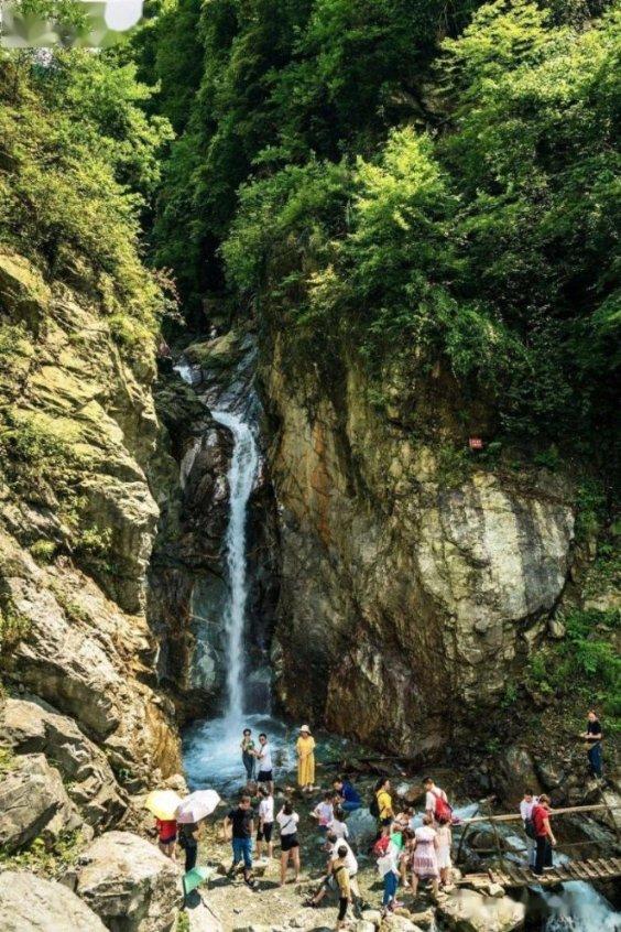 虫虫助手下载